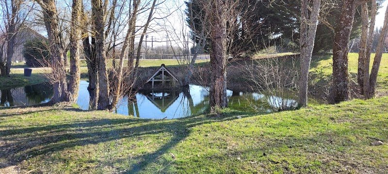 Pension canine et féline La forêt du lys - photo 2
