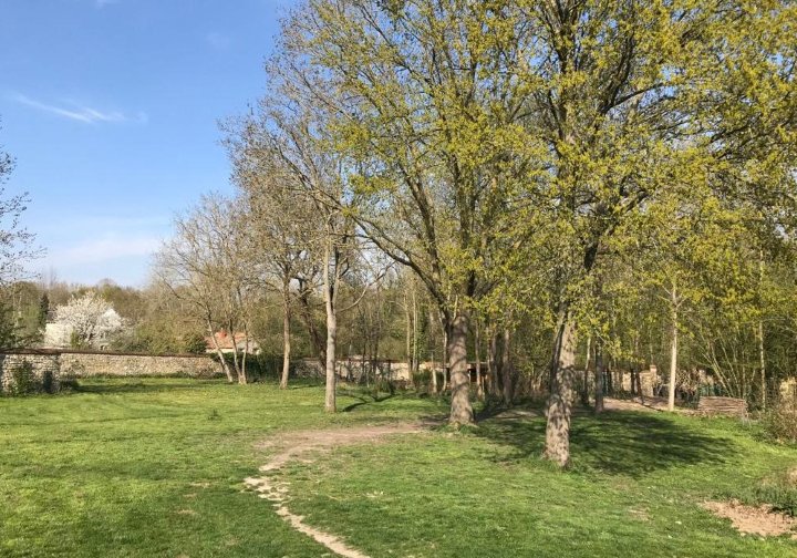 L'Ecole de Médor et Youki - Pension pour chien et Formation éducateur canin - photo 3