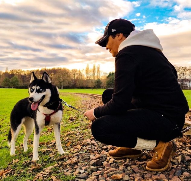 EDUCATION DU CHIEN-Éducateur Comportementaliste Canin