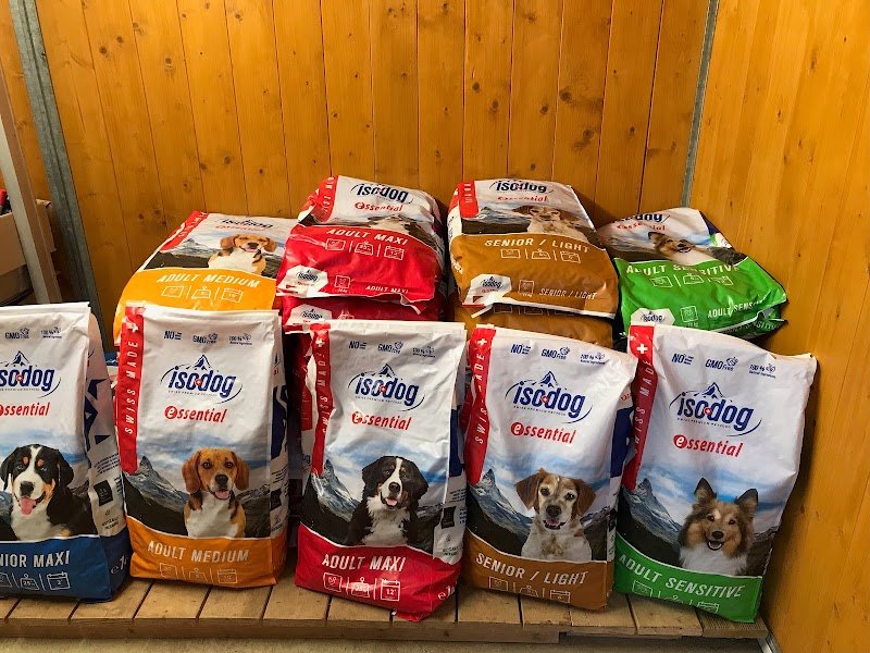 Croc Chiens - Spécialiste éducateur canin en Haute-Saône - photo 1