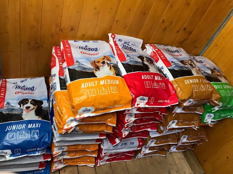 Croc Chiens - Spécialiste éducateur canin en Haute-Saône - photo 2