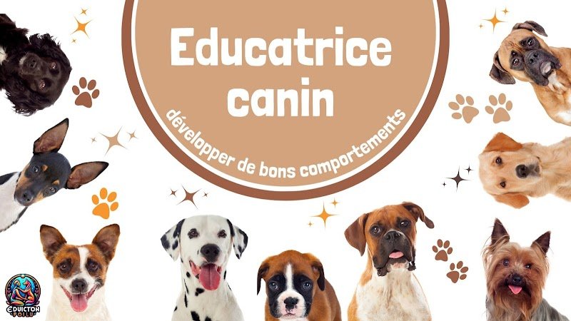 Educt'on Poilu - Educateur Canin - Franche Comté - Bourgogne