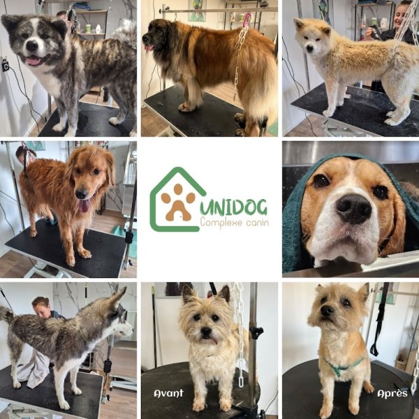 Unidog - Complexe canin innovant - photo 3