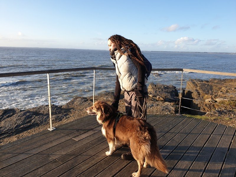 Sandrine Educ'Canine - Educateur Canin Comportementaliste - Vannes - photo 2