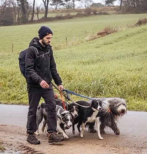Peps Dog Paradise | Éducateur comportementaliste canin à Vannes, 56 - photo 2