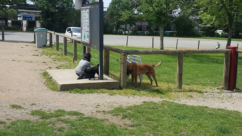 Club Canin Vannetais