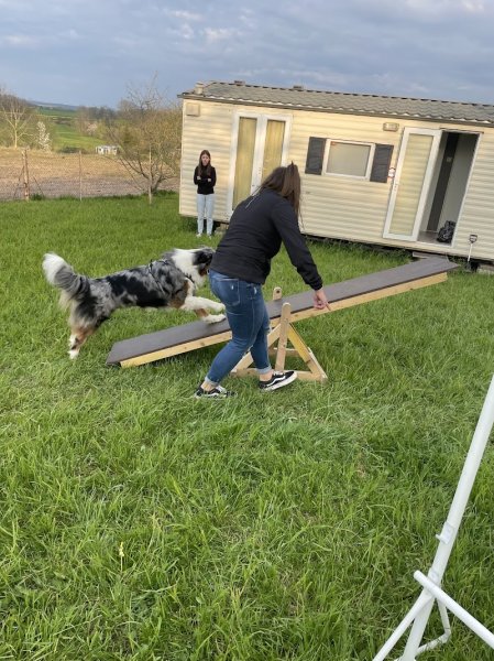 Mercier Noémie Educateur canin