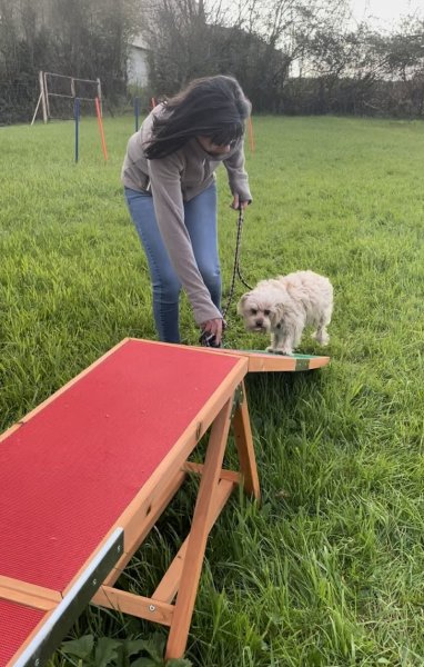 Mercier Noémie Educateur canin - photo 2