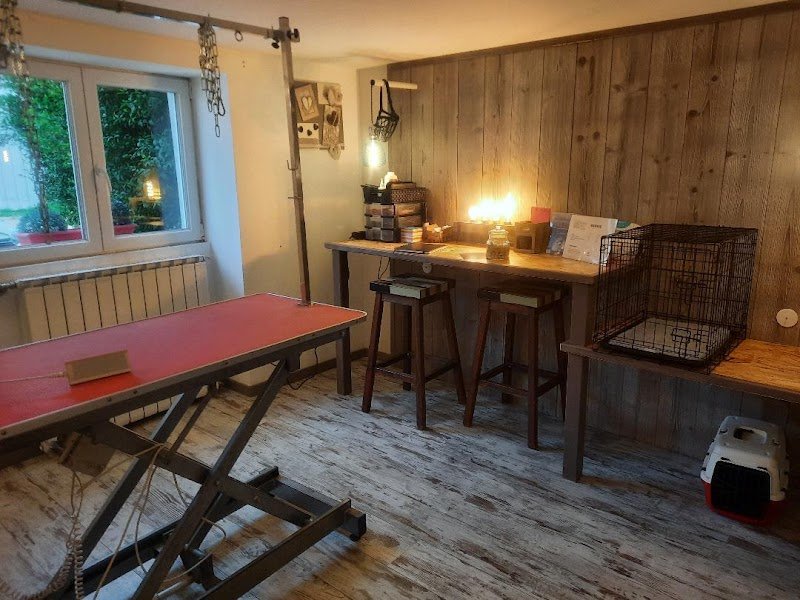 L'Atelier Canin - Salon de Toilettage - photo 1