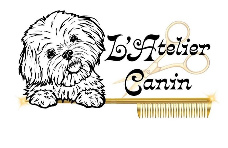 L'Atelier Canin - Salon de Toilettage - photo 3