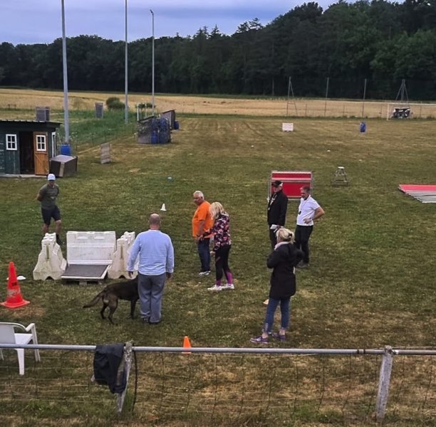 Terrain du Sports canins de Brechaumont