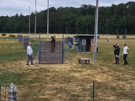 Terrain du Sports canins de Brechaumont - photo 2