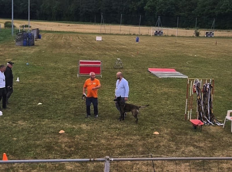 Terrain du Sports canins de Brechaumont - photo 3