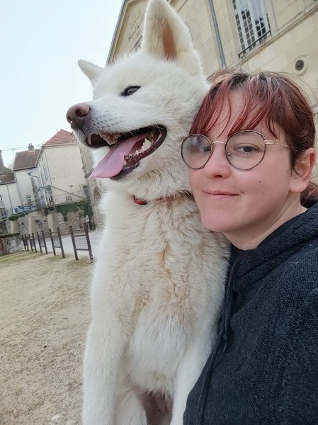 Elevage canin Shiba et Akita inu, Pomsky - photo 3