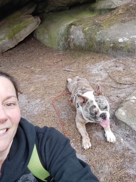 Dog's World Education Canine - Educateur canin Nemours - Dogsitter