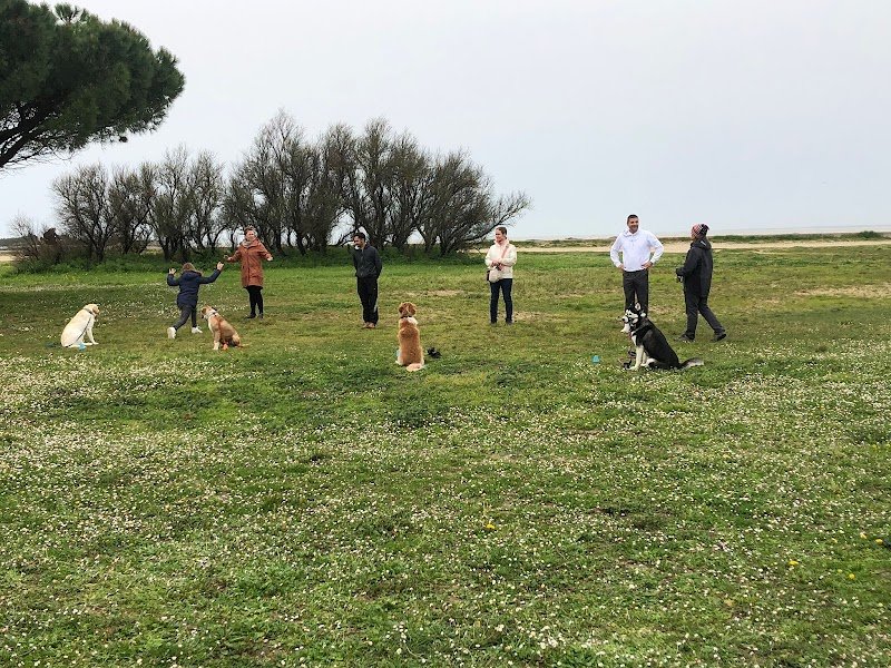 GOOD DOG Educateur Comportementaliste Canin à La Rochelle - photo 3