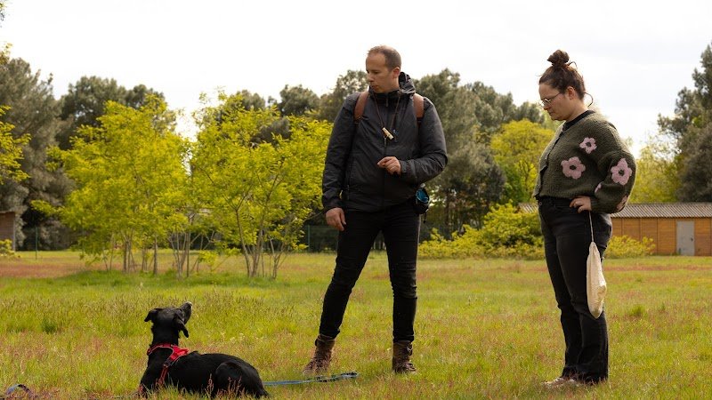 Dogtrailer Educateur Comportementaliste Canin la rochelle