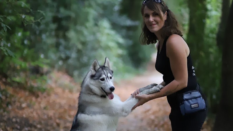 AmiCan'Idée éducateur canin La Rochelle
