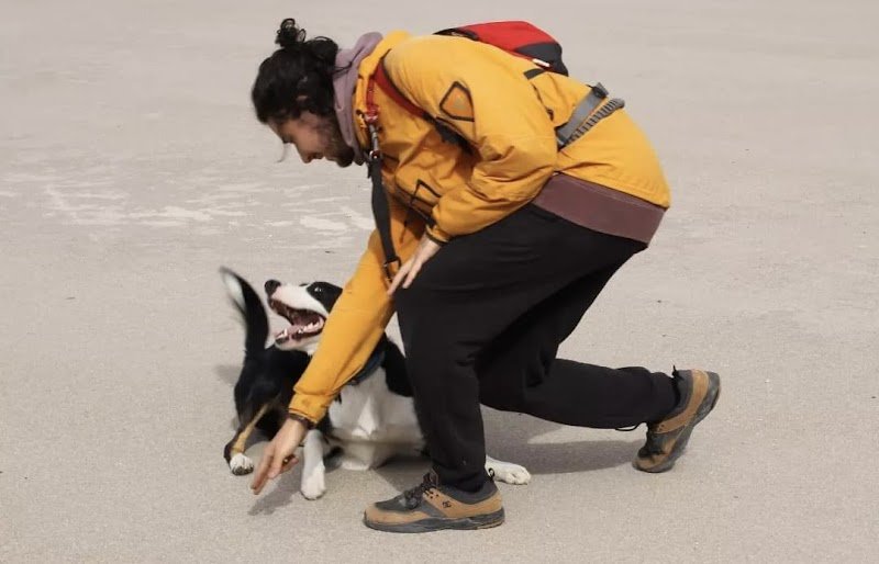 CHIENS DU SOLEIL Educateur Canin Comportementaliste - photo 2