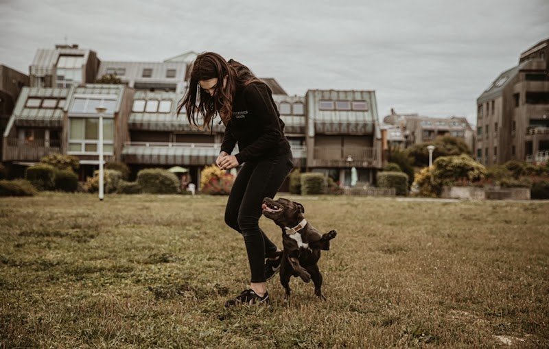 L'Effet Canin - photo 2