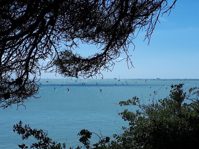 Parc Canin La Rochelle - photo 1