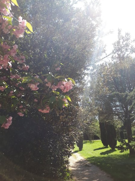 Parc Canin La Rochelle - photo 2