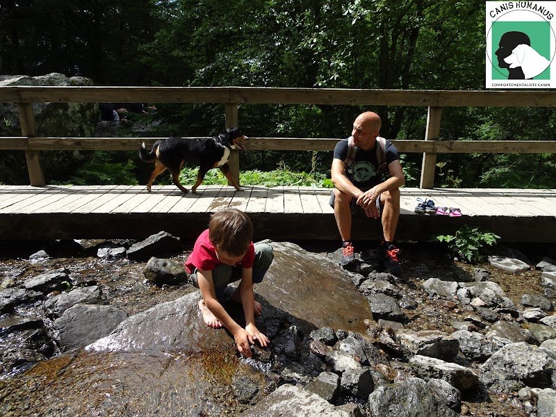 Canis Humanus - Comportementaliste canin - photo 2