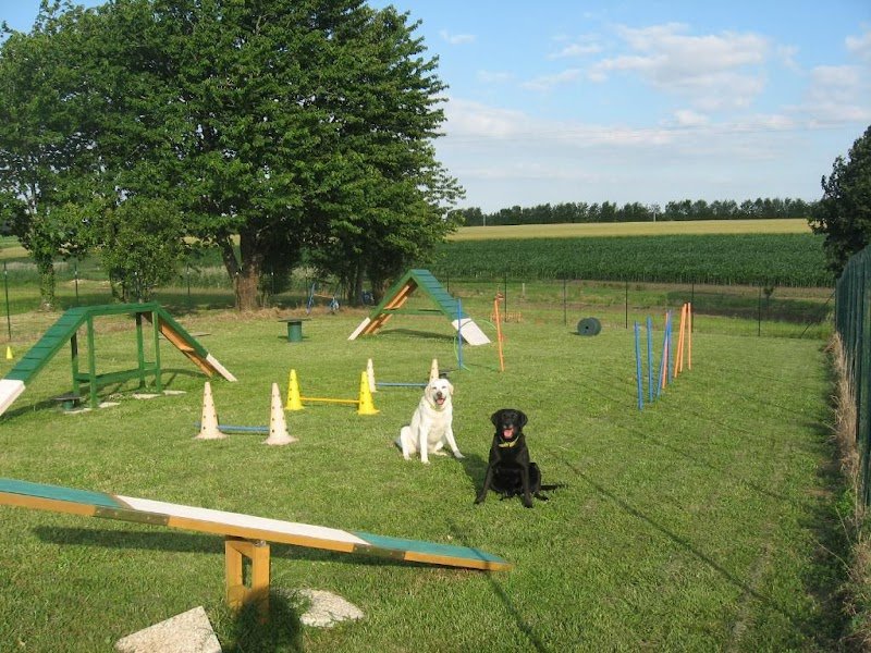 Cynophile Doux Guide en Education Canine