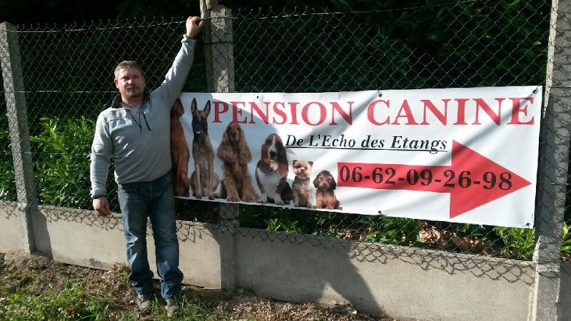 Pension Canine et Elevage de Springer Spaniel de l'Echo des Etangs 44 - photo 3