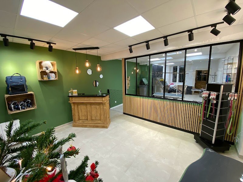 Canin’Stitut - Toilettage - photo 1