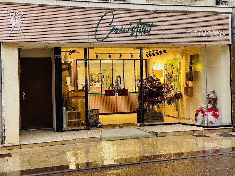 Canin’Stitut - Toilettage - photo 3