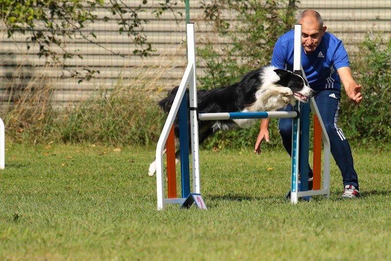 Sports et Loisirs Canins de Torcy - photo 1