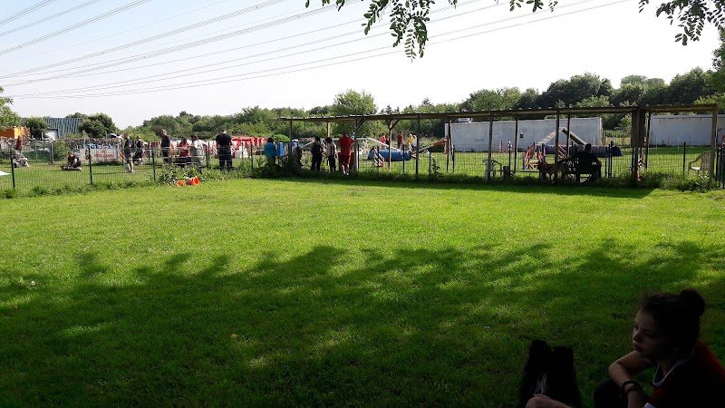 Sports et Loisirs Canins de Torcy - photo 3