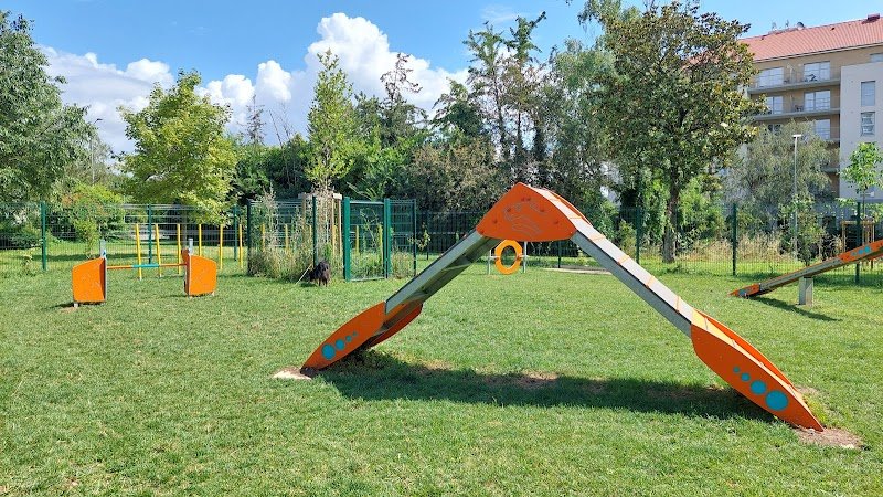 Espace agility - photo 1