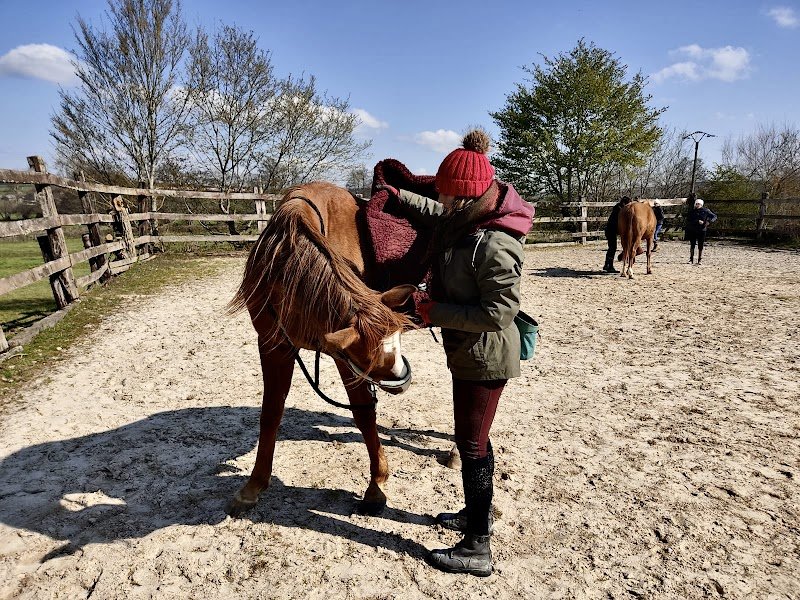 Equi'Sage - Comportementaliste, masseuse-algothérapeute & énergéticienne - photo 2
