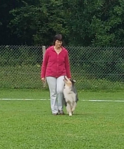 Chienmalin - photo 2