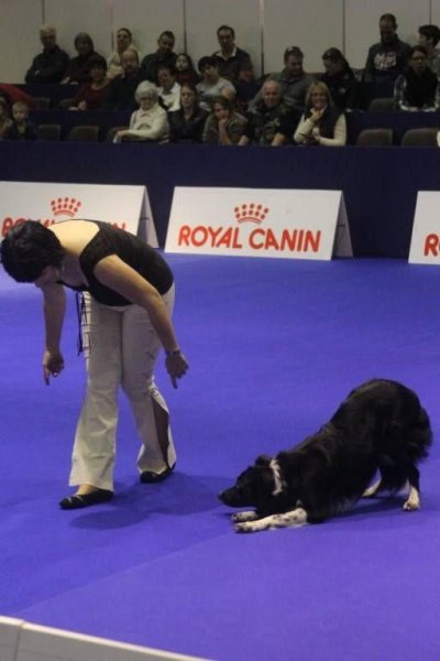 Chienmalin - photo 3