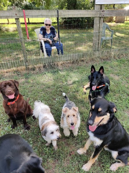 Eduka'chien: éducateur canin a domicile et sur terrain, pour toutes races et âges 44/49