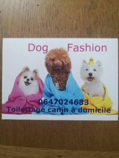 Dog Fashion toilettage à domicile - photo 2