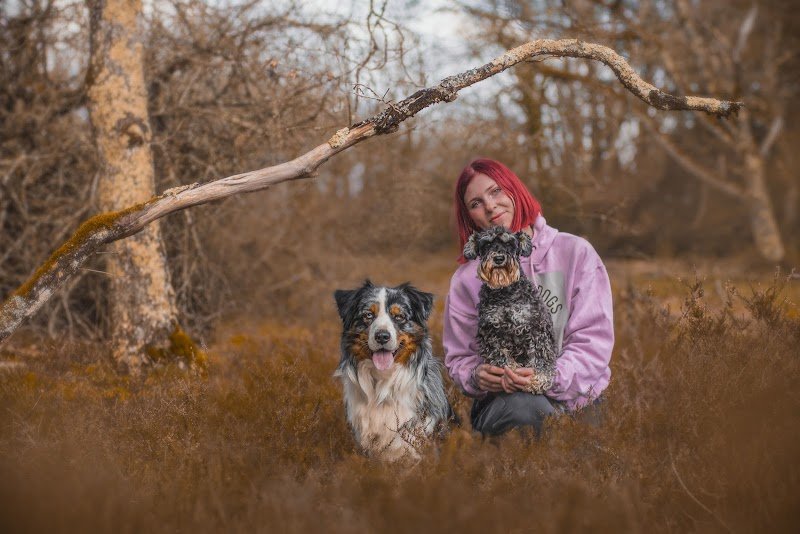 Candy's Dogs - photo 2