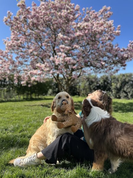 Pension canine familiale La Douceur d’Uska - photo 1