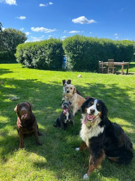 Pension canine familiale La Douceur d’Uska - photo 2