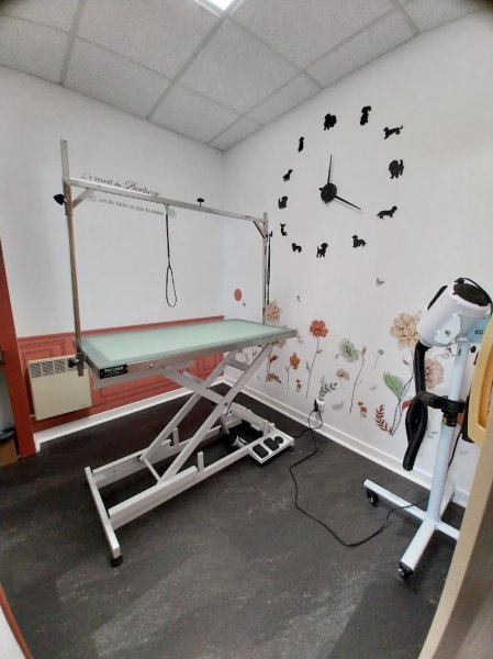 Natural'Dog Toilettage