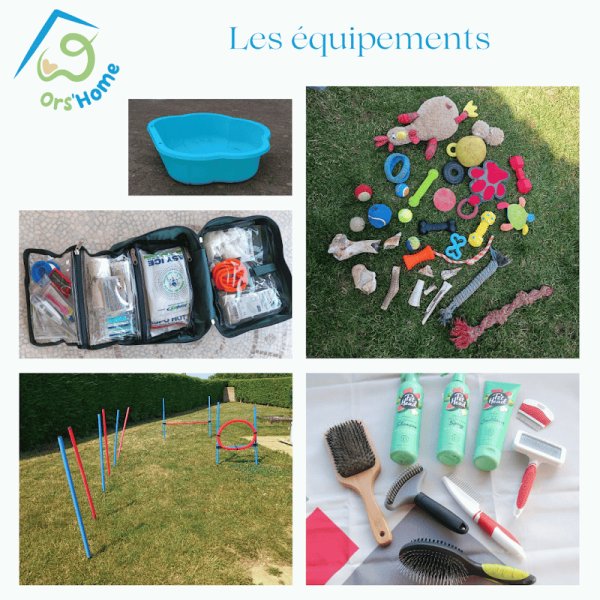 Ors'Home - Pension canine familiale - Prestation de services - photo 2