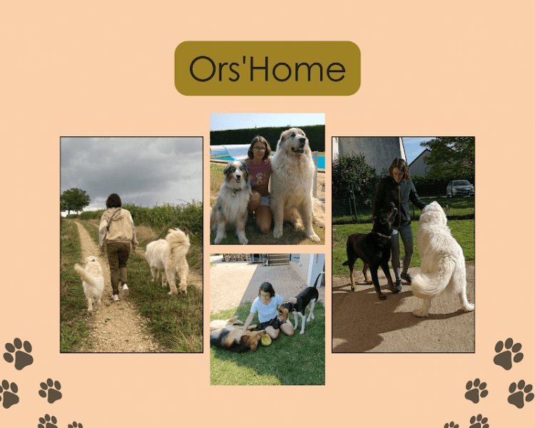 Ors'Home - Pension canine familiale - Prestation de services - photo 3