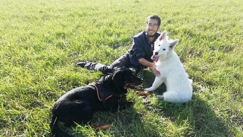 LES ANIMAUX DU MESNIL : éducateur canin comportementaliste