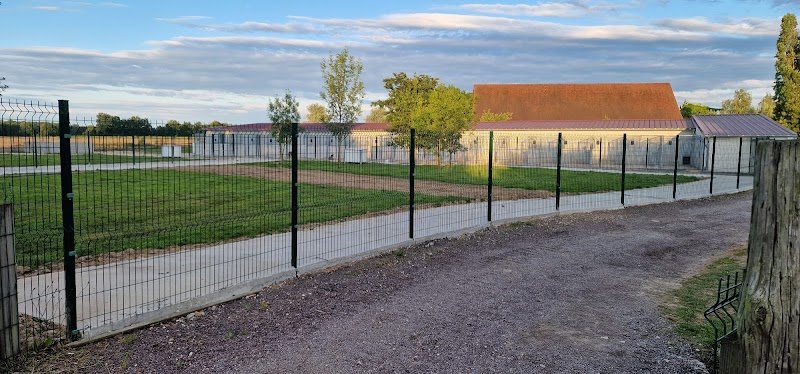 Le Clos Du Bonheur (Élevage, Pension canine, Animalerie, Toilettage, Education) - photo 3