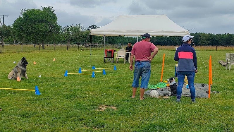 Feeling Dog - photo 2