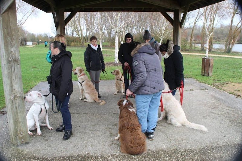 Feeling Dog - photo 3