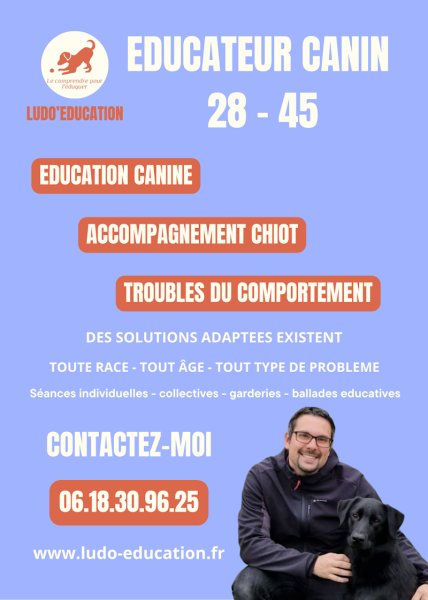 Ludo'Education - Educateur comportementaliste canin (28 - 45) - photo 3